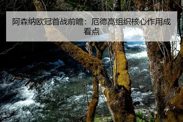 阿森纳欧冠首战前瞻：厄德高组织核心作用成看点